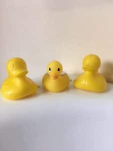 rubber ducks