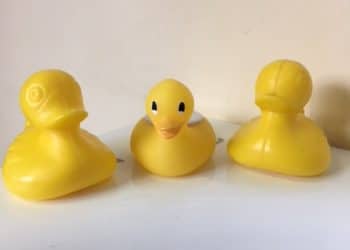 rubber ducks