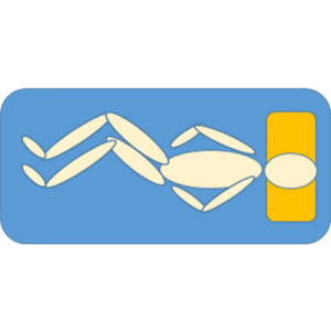 risk of shape change in bed